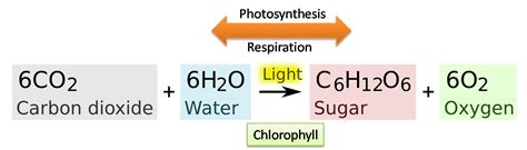 balanced equation photosynthesis